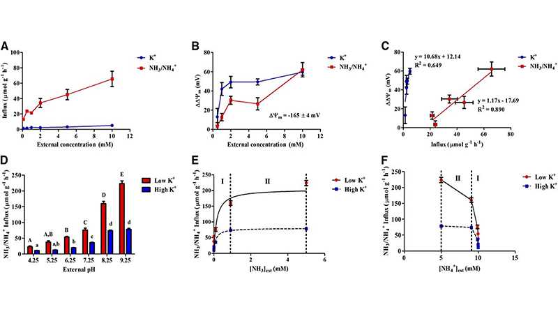 NH4 and NH3 research